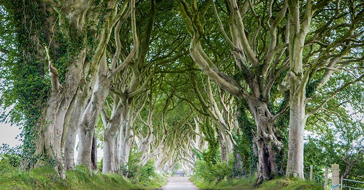 Northern Ireland Travel Guide