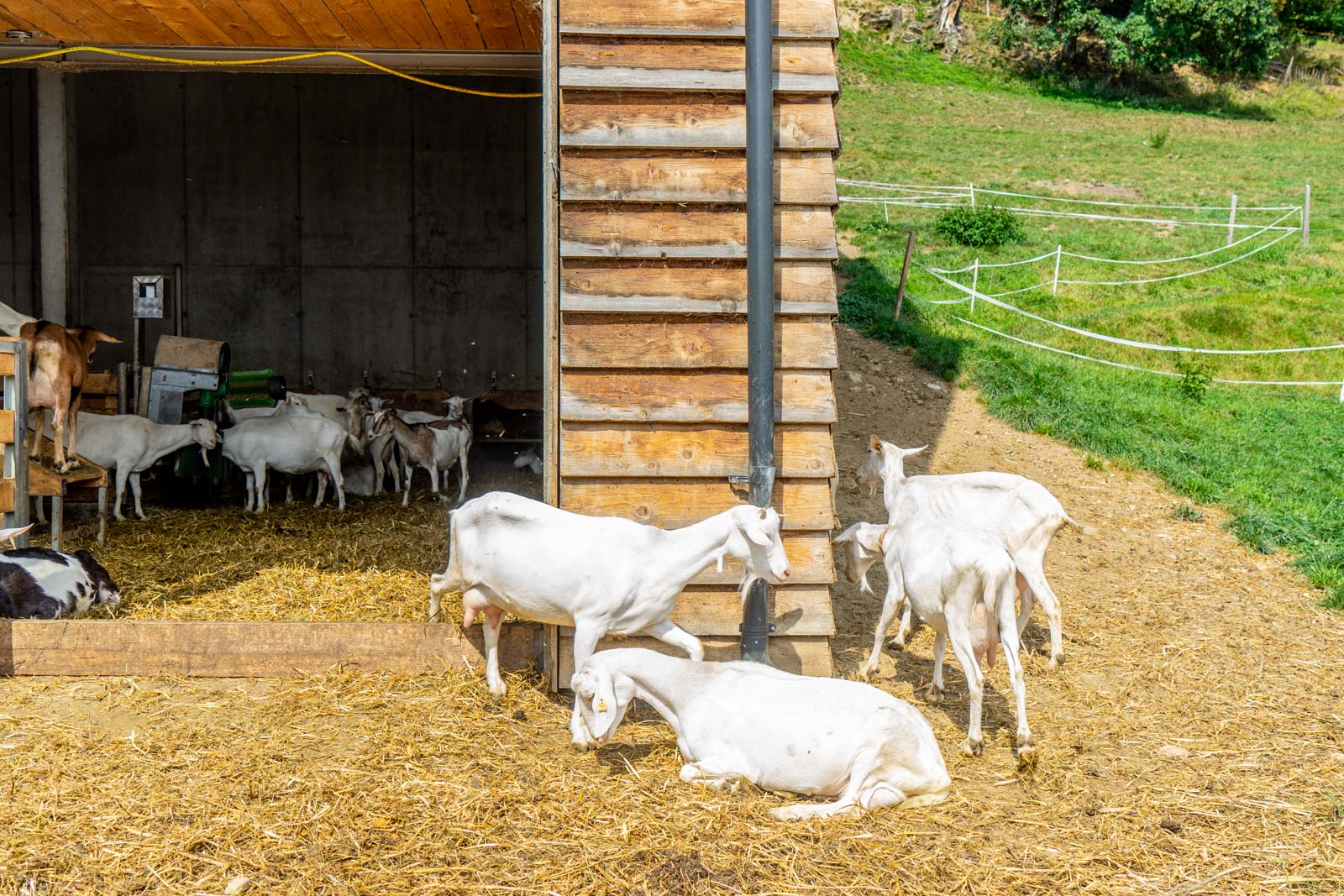 Bregenzerwald Cheese Road, Vorarlberg, Austria