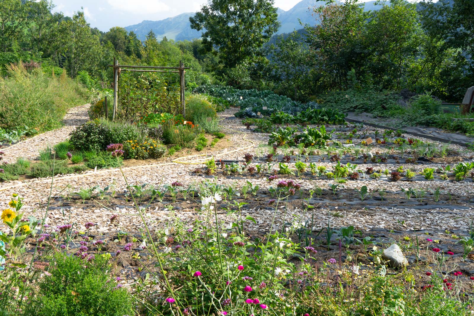 Bregenzerwald Cheese Road, Vorarlberg, Austria