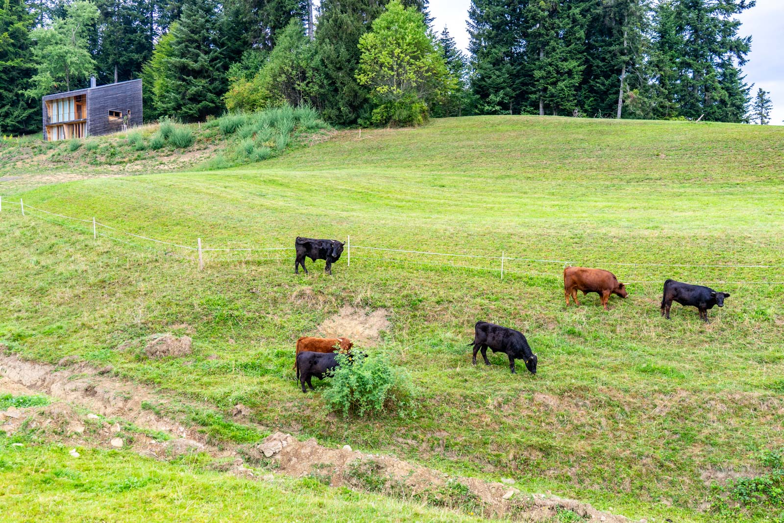 Bregenzerwald Cheese Road, Vorarlberg, Austria