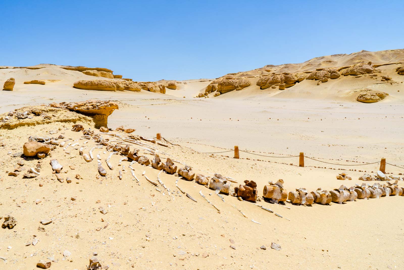 Whale Valley, Wad Al-Hitan, Egypt