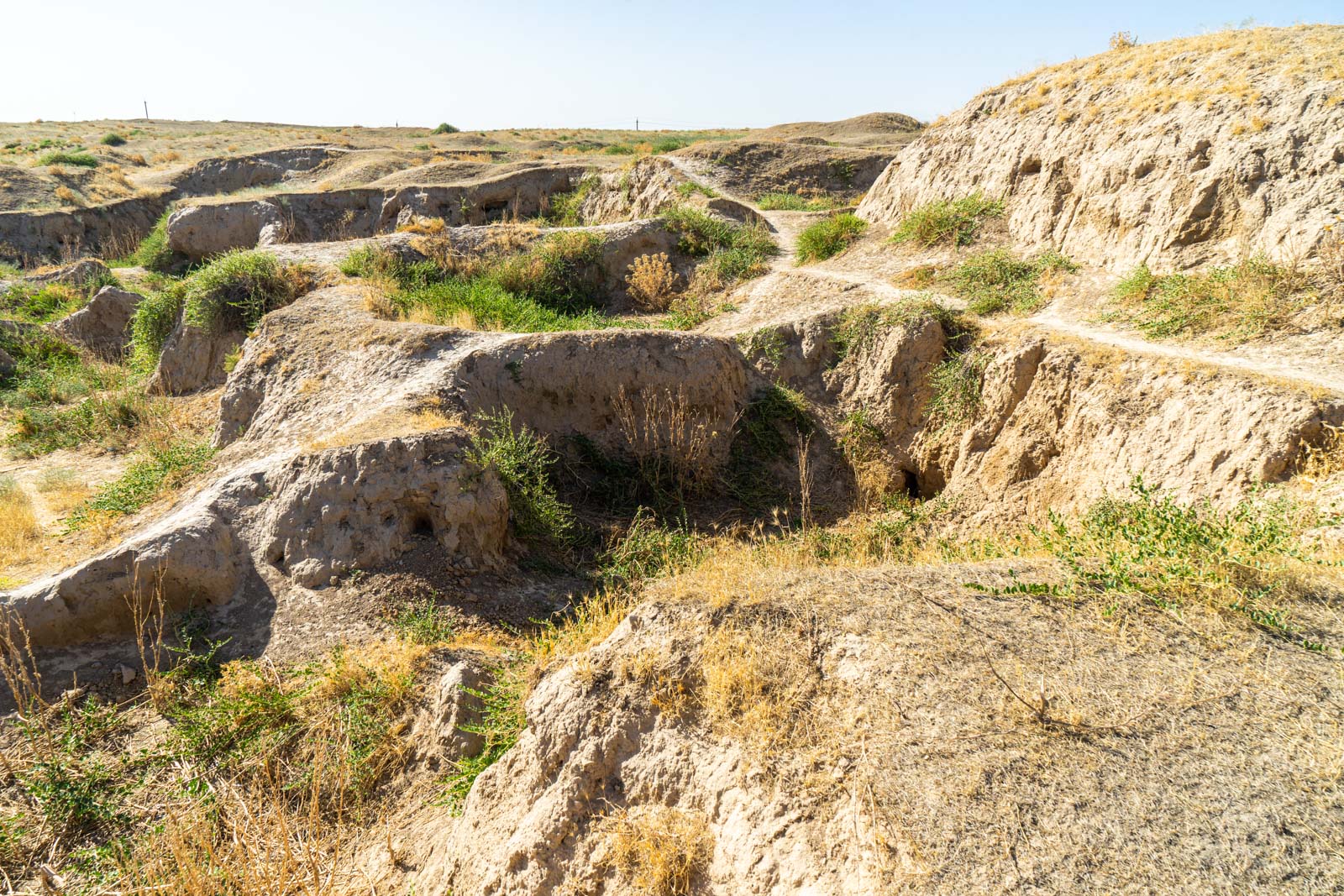 Afrasiyab