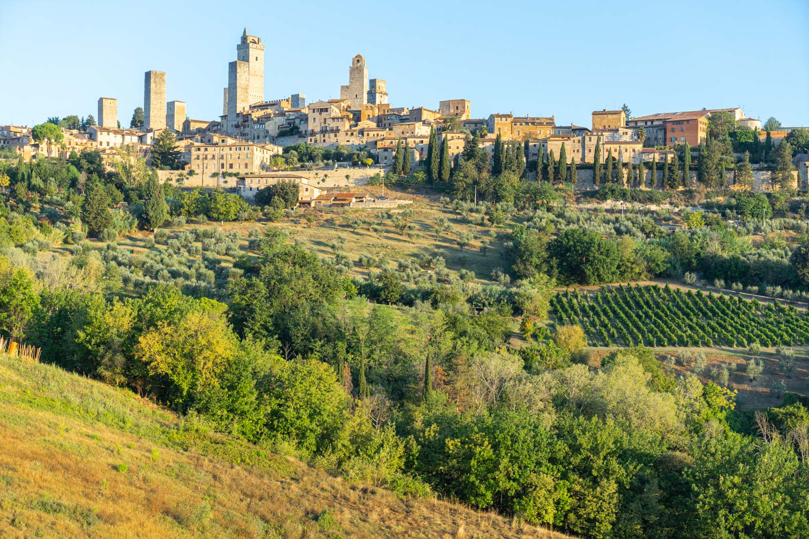 Things to do in San Gimignano, Italy