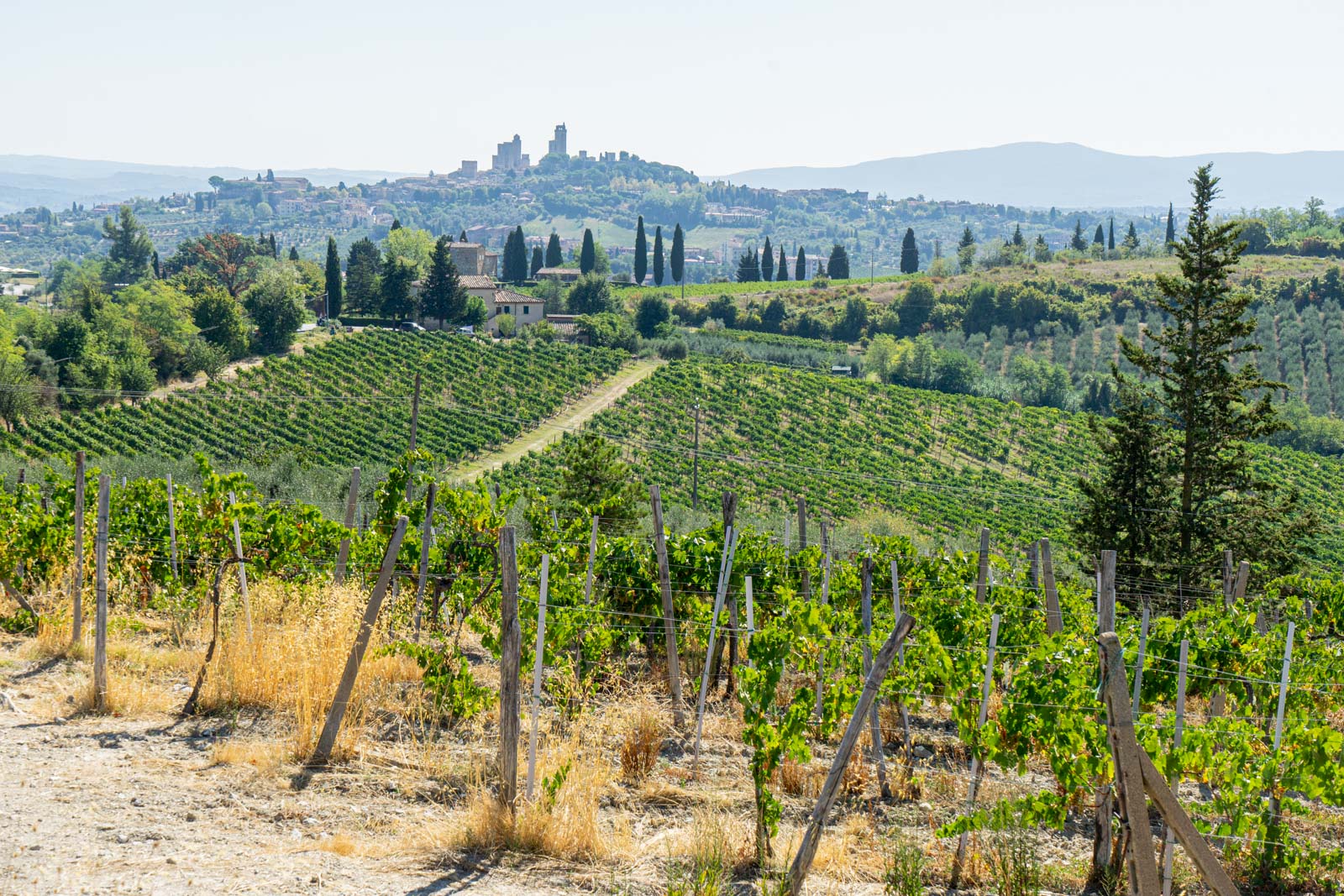 Things to do in San Gimignano, Italy