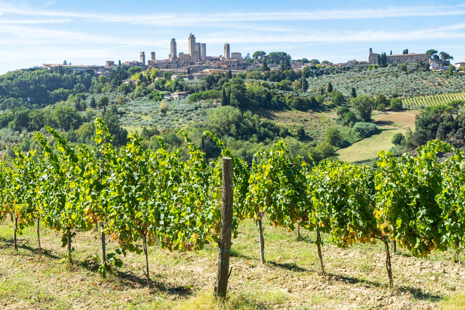 Things to do in San Gimignano, Italy
