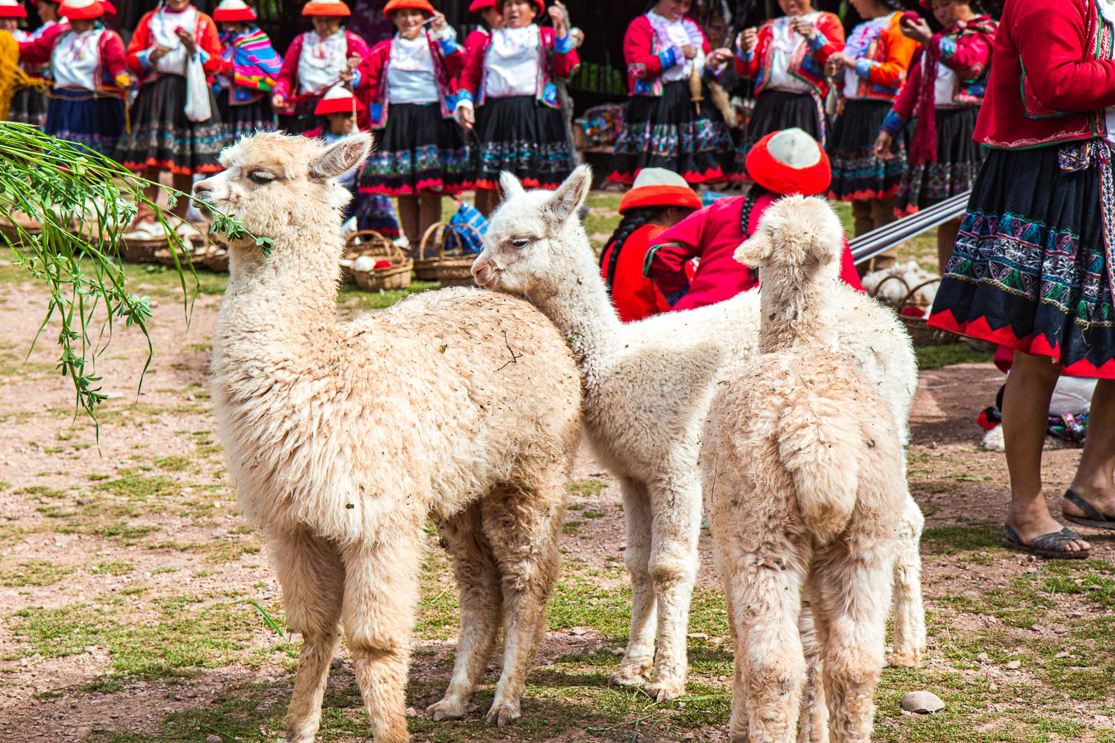 The best things to do in Peru: A complete list! (2026)