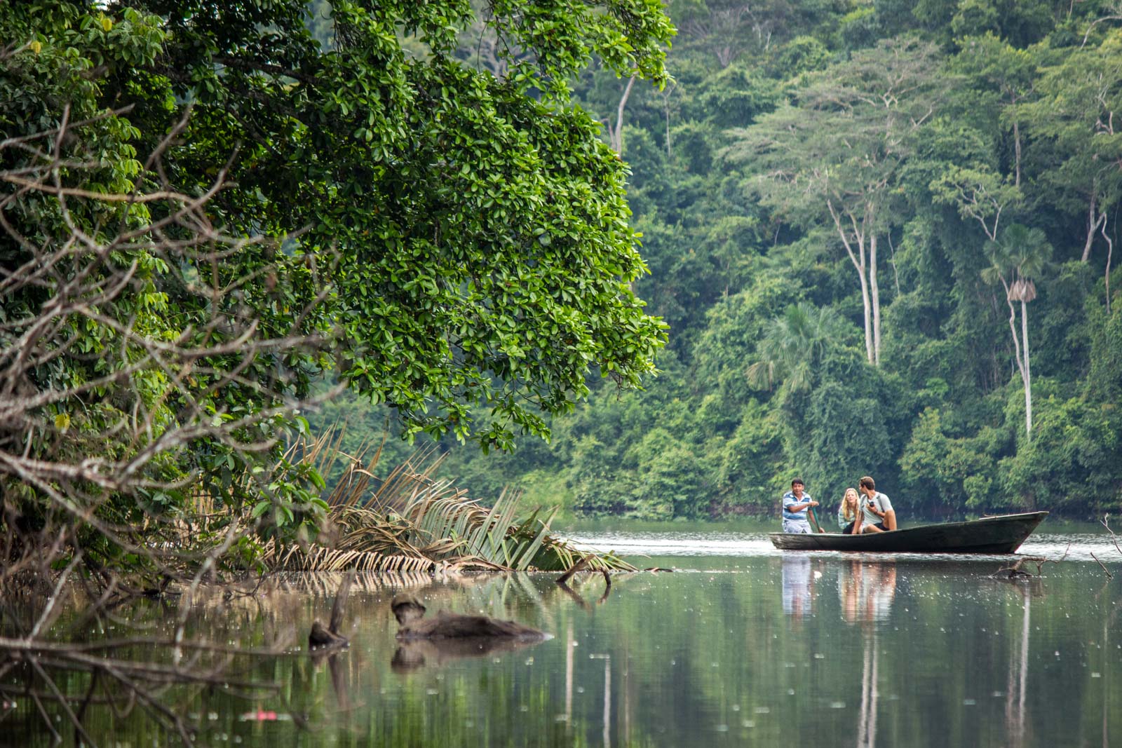 Amazon in Peru
