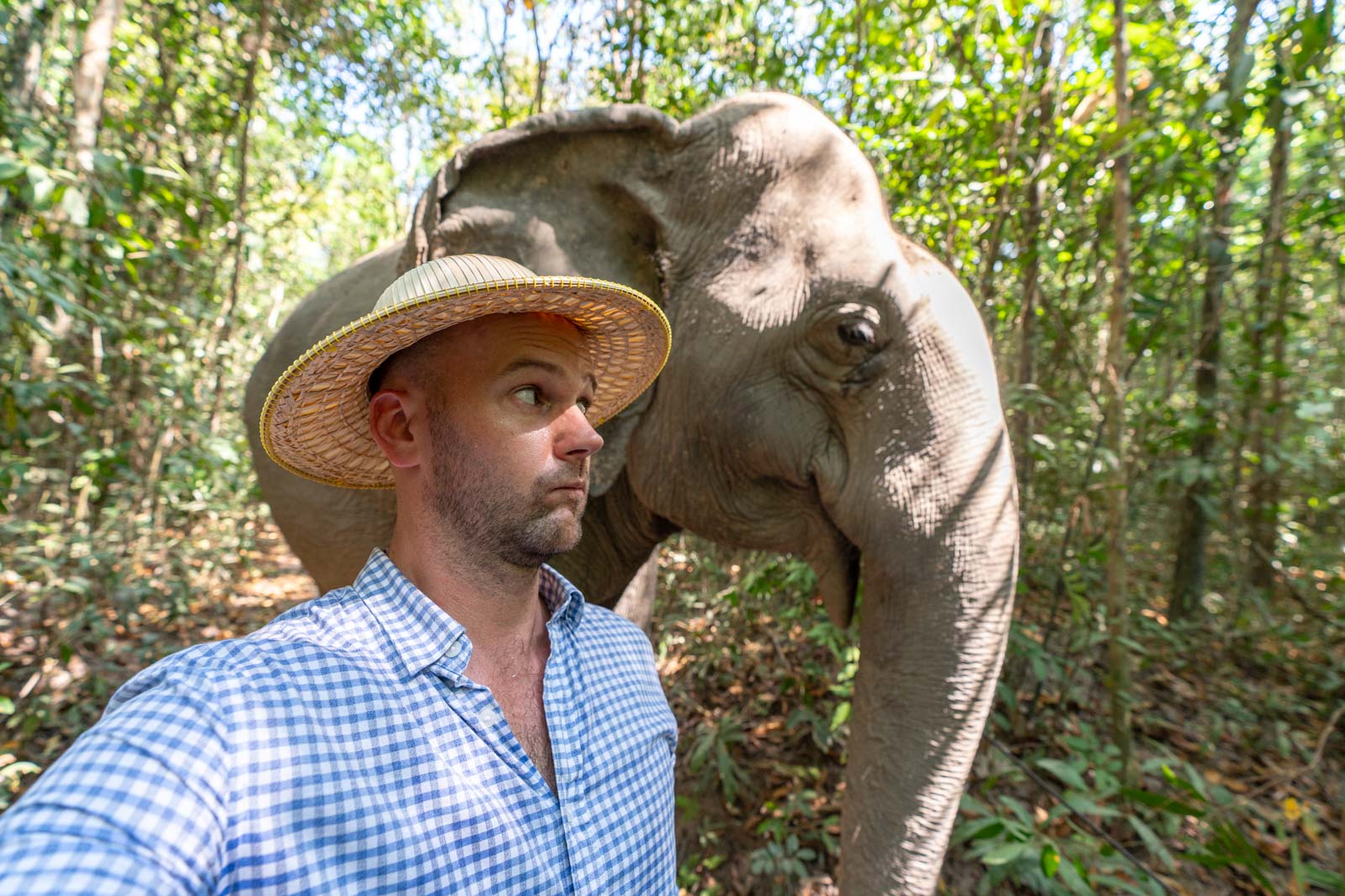 Kulen Elephant Forest, Siem Reap, Cambodia