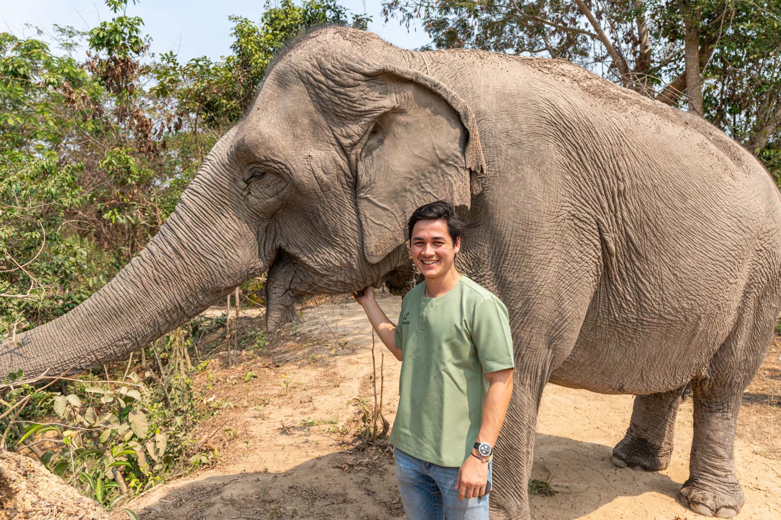 Kulen Elephant Forest, Siem Reap, Cambodia