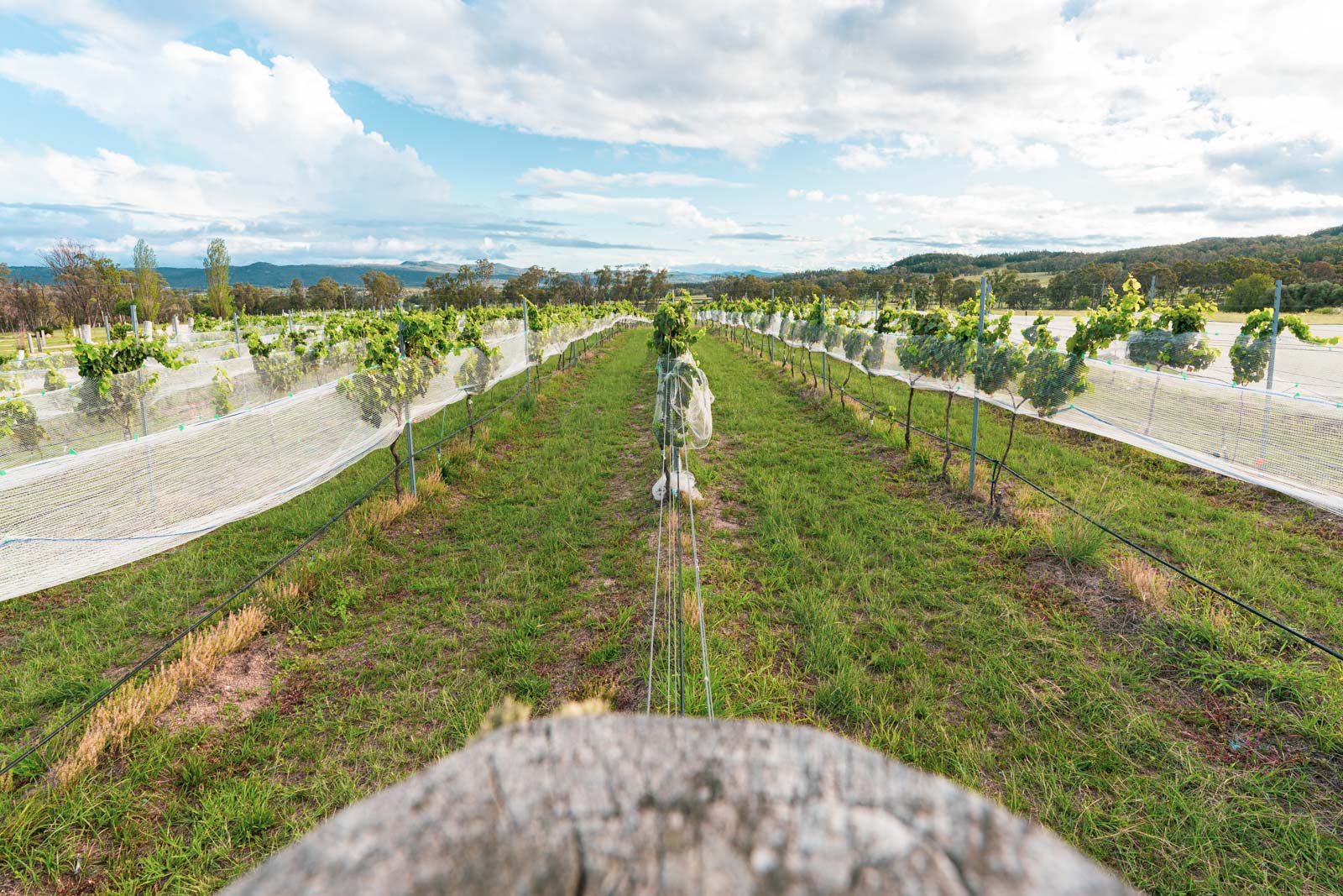 Stanthorpe and the Granite Belt, Queensland, Australia