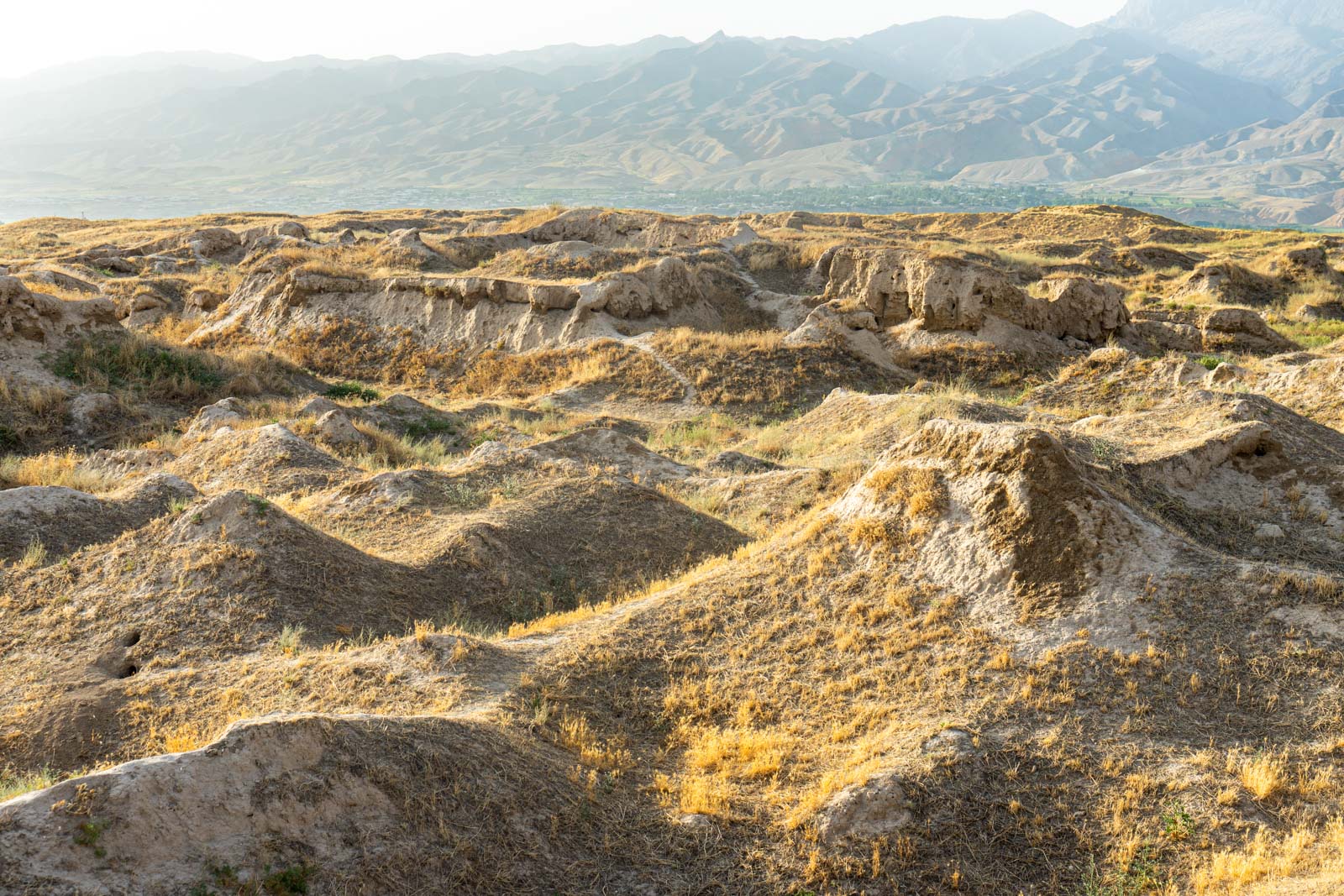 Ruins of Ancient Panjakent, Tajikistan