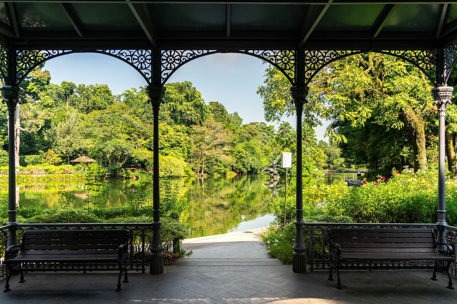 Swan Lake, Singapore Botanic Gardens