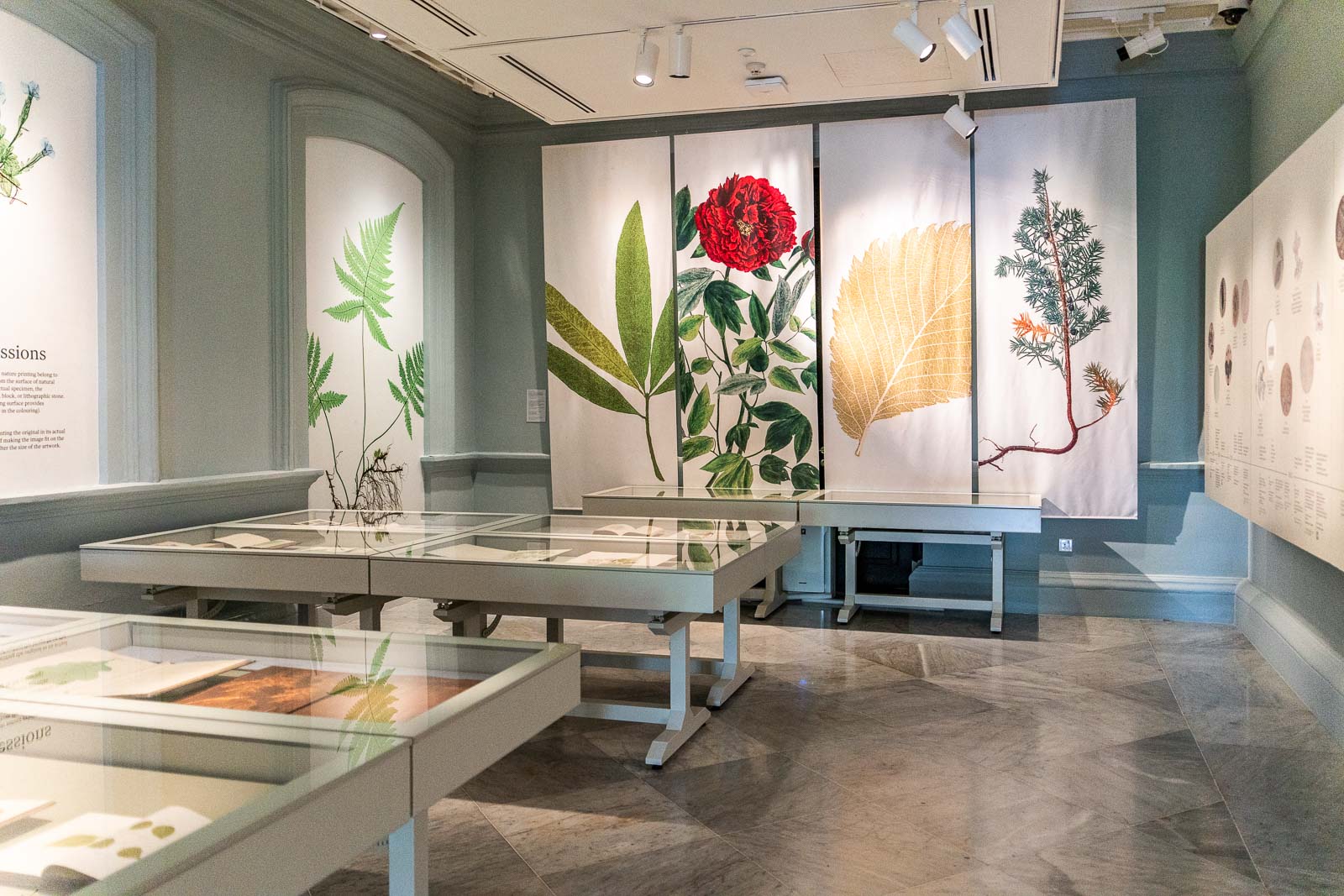 Botanical Art Gallery, Singapore Botanic Gardens