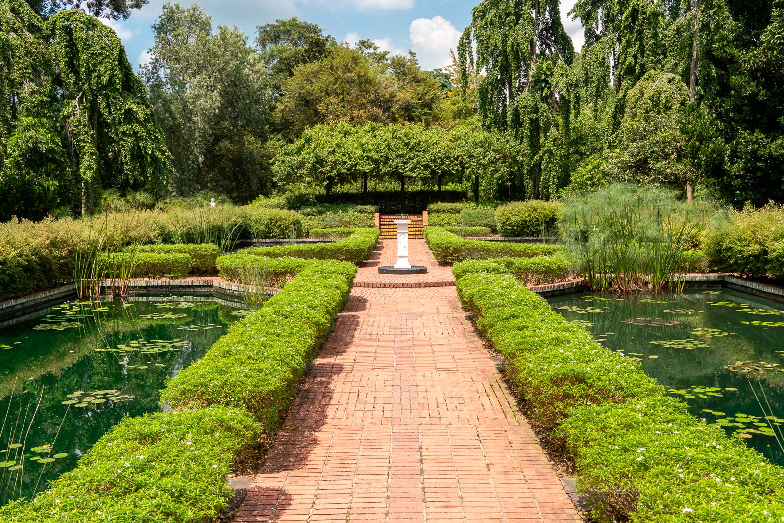 Visiting the Singapore Botanic Gardens