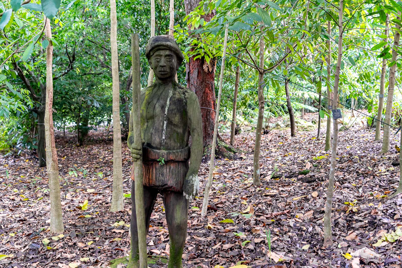 Ethnobotany Garden, Singapore Botanic Gardens