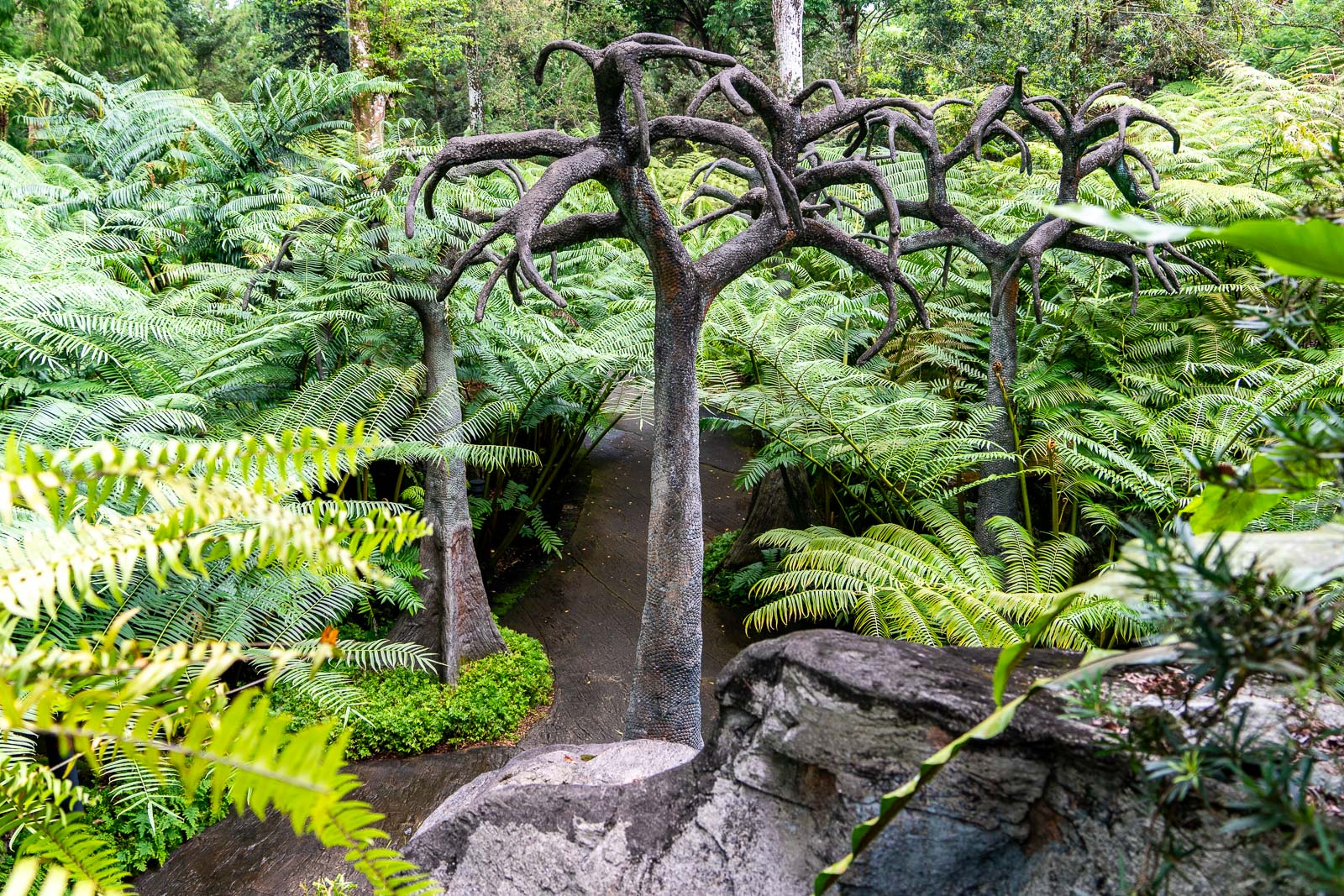 Evolution Garden, Singapore Botanic Gardens