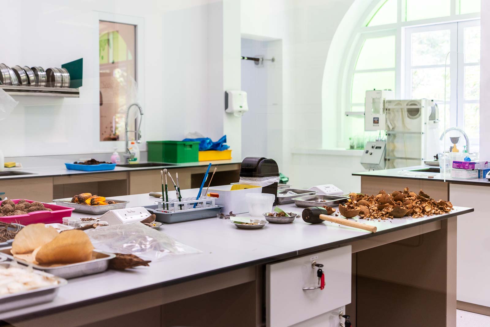 Seed Bank, Singapore Botanic Gardens