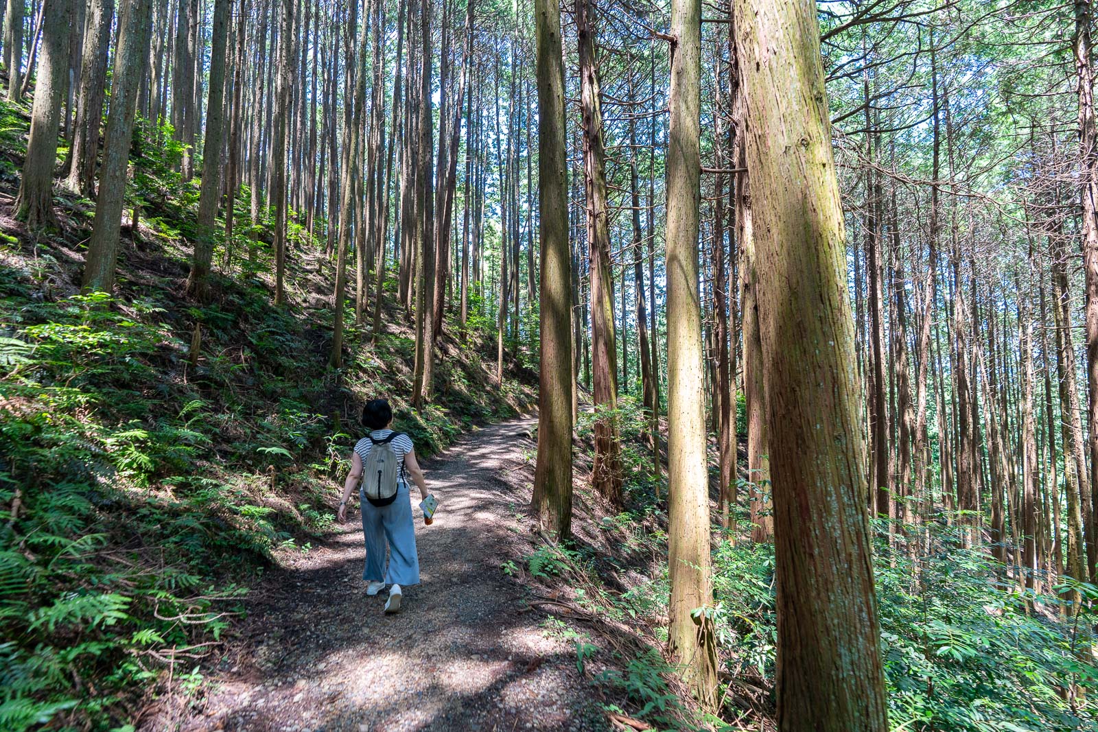 What to do in Nara Prefecture
